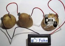 Indeed-Potato Battery